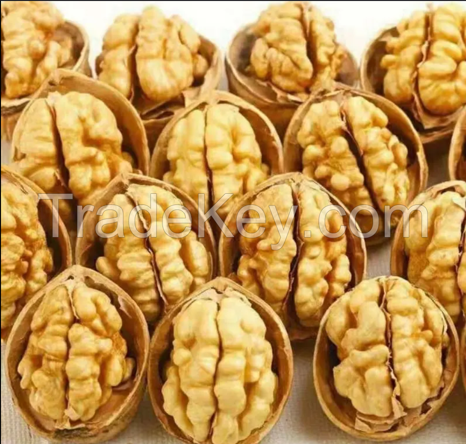 High-quality Nuts / Thin-skinned Dried Walnuts / Whole Walnut Shells-shelled Walnuts