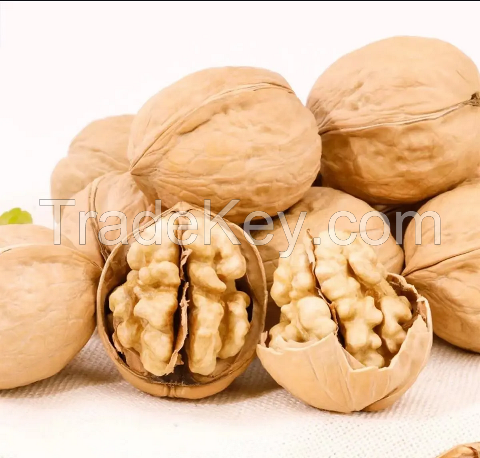 Best Quality Export Walnut Kernels Wholesale Raw Dry Fruits Walnuts In Shell Healthy 100% Organic