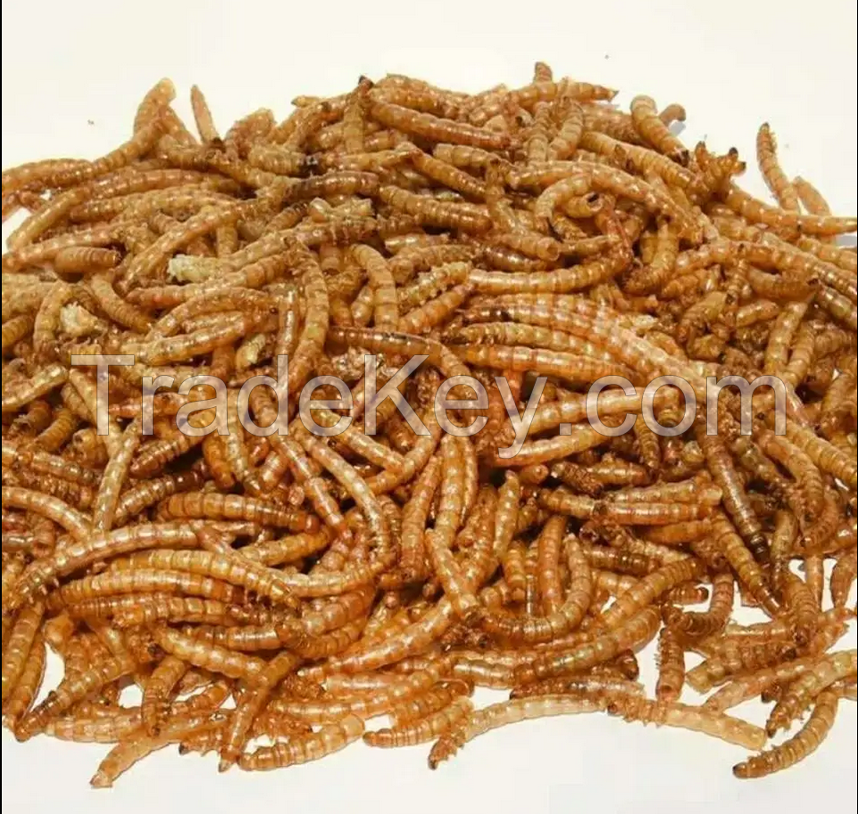 high quality 100% Natural Pet Fish Bird Feeding dried mealworm with high quality high protein