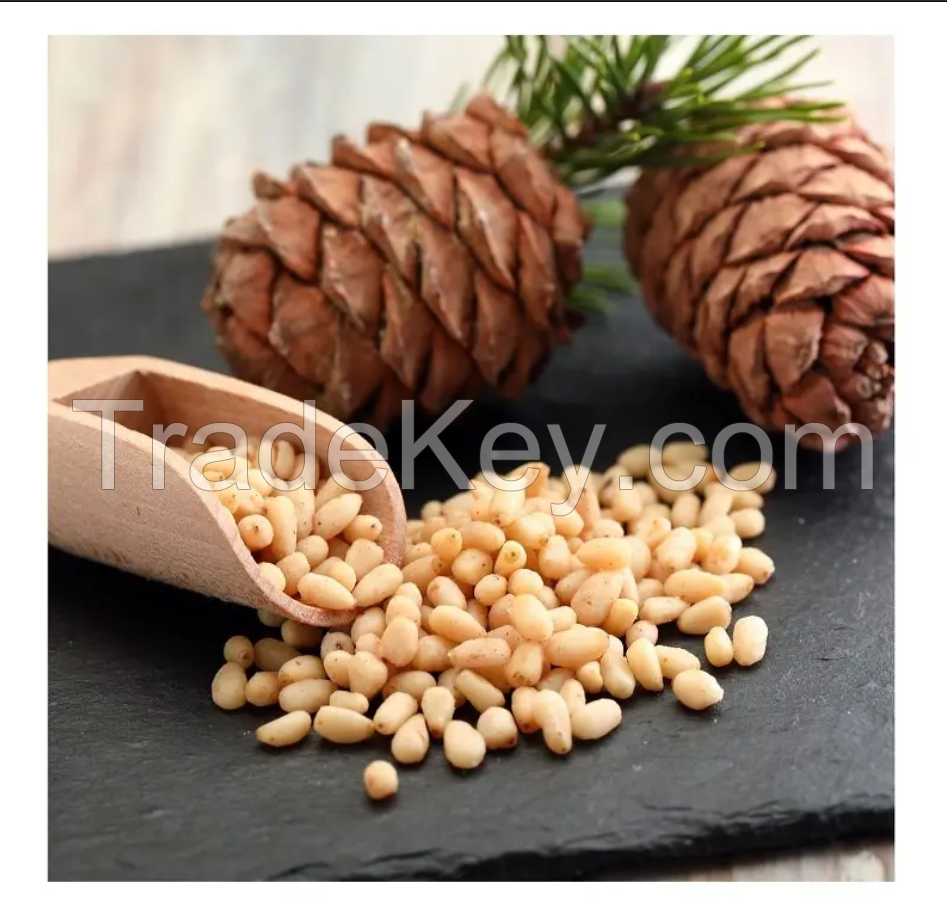 Top Grade Pine Nuts Available/Dry Fruit Pine Nut Kernels Pure Red