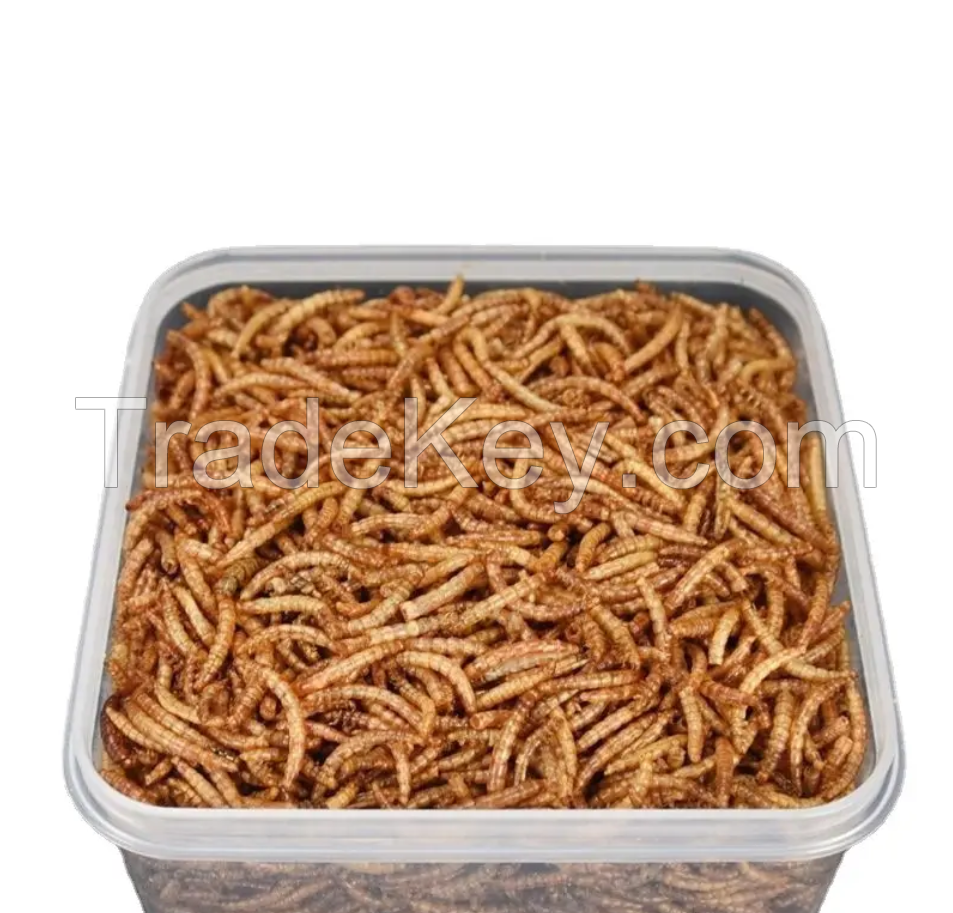 high quality 100% Natural Pet Fish Bird Feeding dried mealworm with high quality high protein