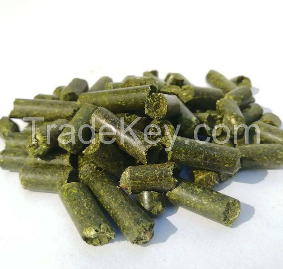 Alfalfa Cubes, Top Quality Alfalfa Pellets for Animal Feed