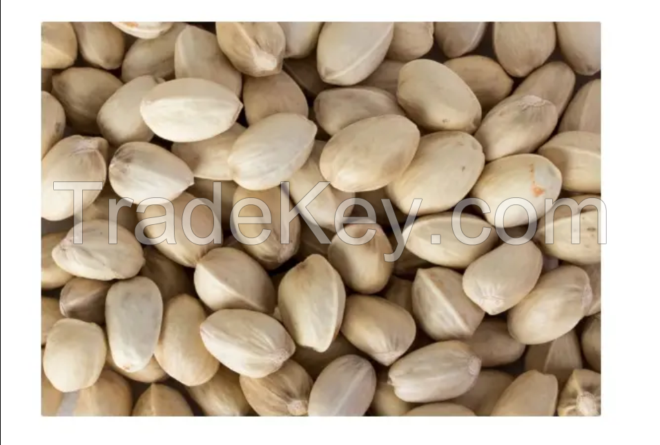 Pistachios In Shell Wholesale Natural Bulk 20 Kg Bag Pistachios From Uzbekistan Non Gmo Pistachios In Shell For Food