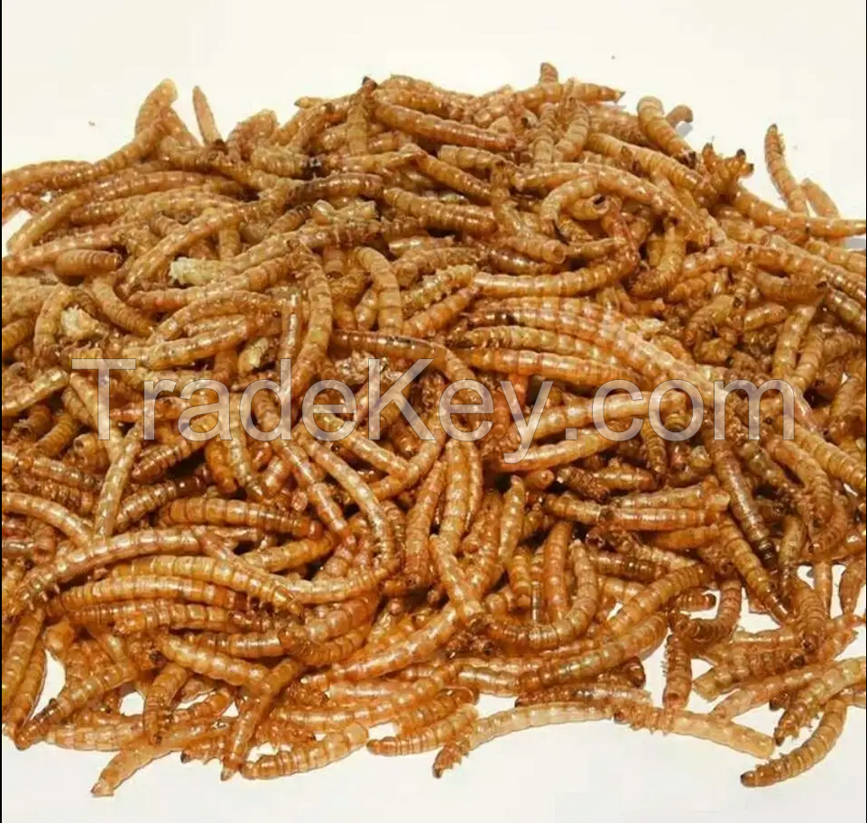 High quality 100hot sell high protein Freeze Dried Mealworms for animal food pet food% Natural Pet Fish Bird Feeding dried mealworm with high quality high protein
