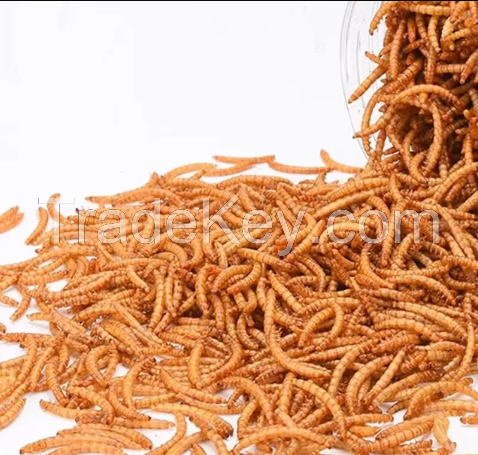 High Protein Yellow Frozen Mealworms For Pet Birds Food Amphibians Aquatic Feeder And Fishing Bait Canned