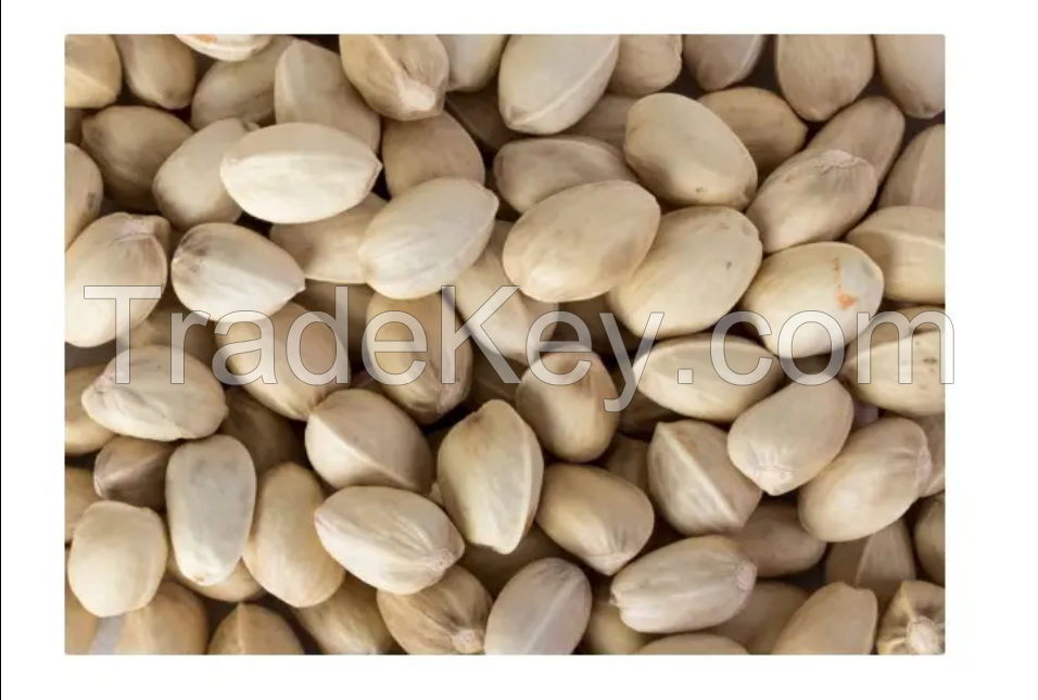 Pistachio Nut Raw With Cheap Price Pistachio Nuts