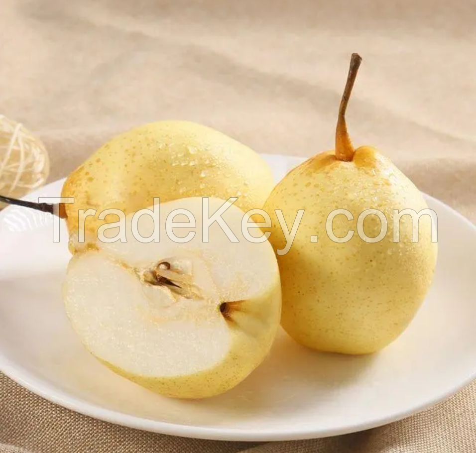 New crop fresh pear Ya pear