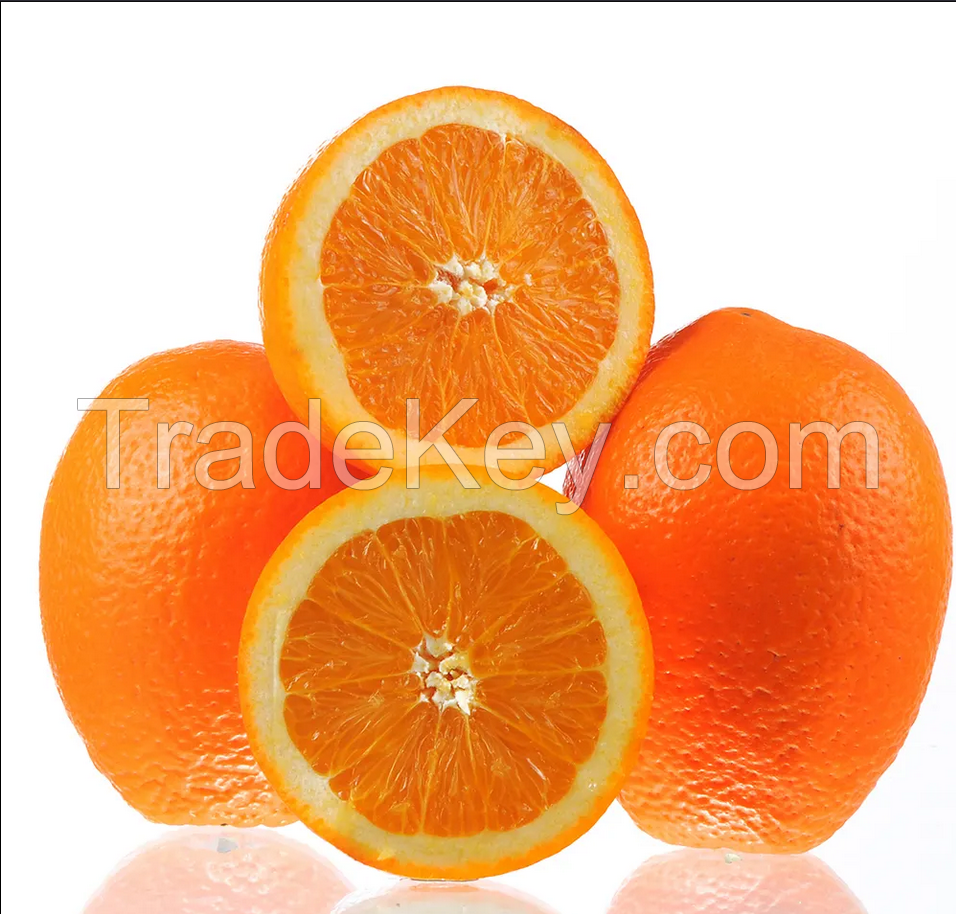 High Quality Navel Orange Oranges New Crop Of Fresh Orange Natural Sweet For Sale From Egypt
