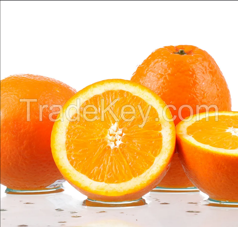 2023 New crop of Fresh Navel Orange Mandarin Orange fresh fruit Valencia oranges from China for wholesale