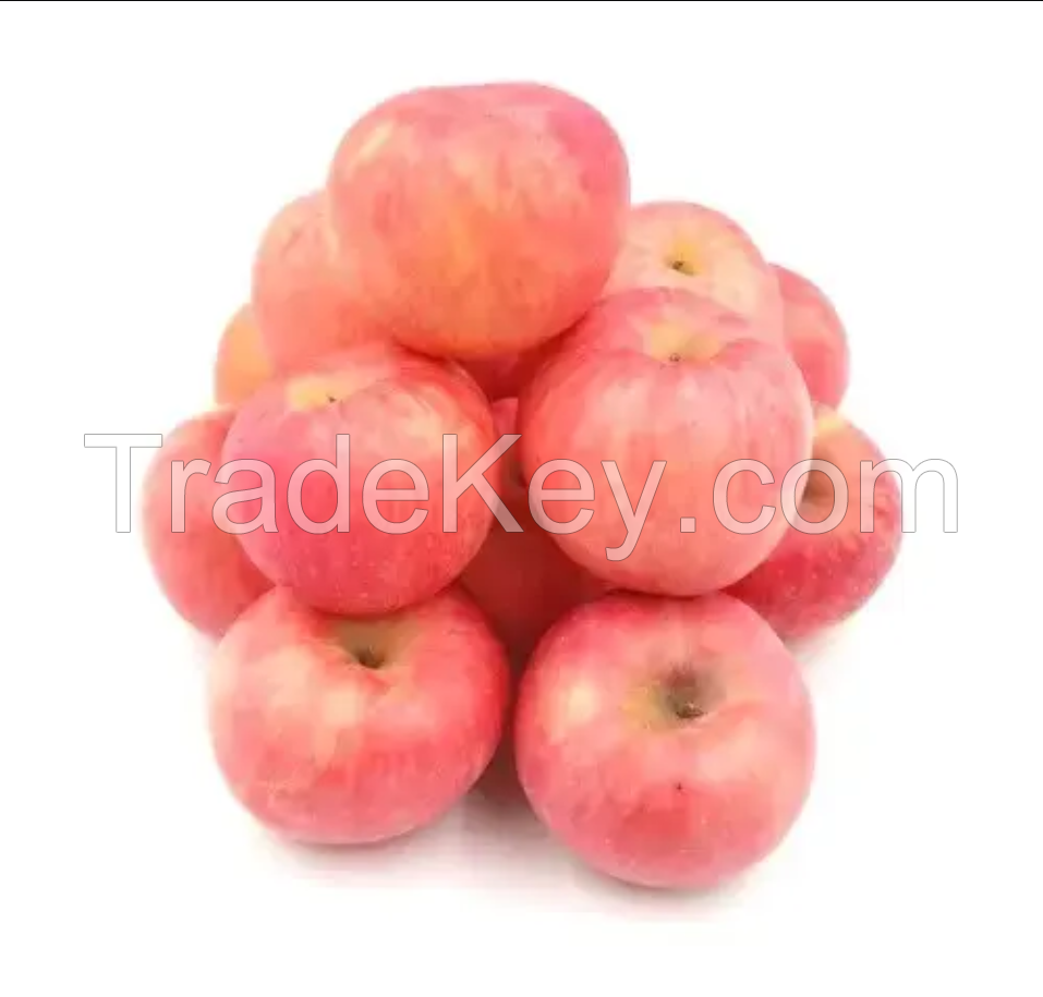 Fresh Apple Supplier, Royal Gala Apple