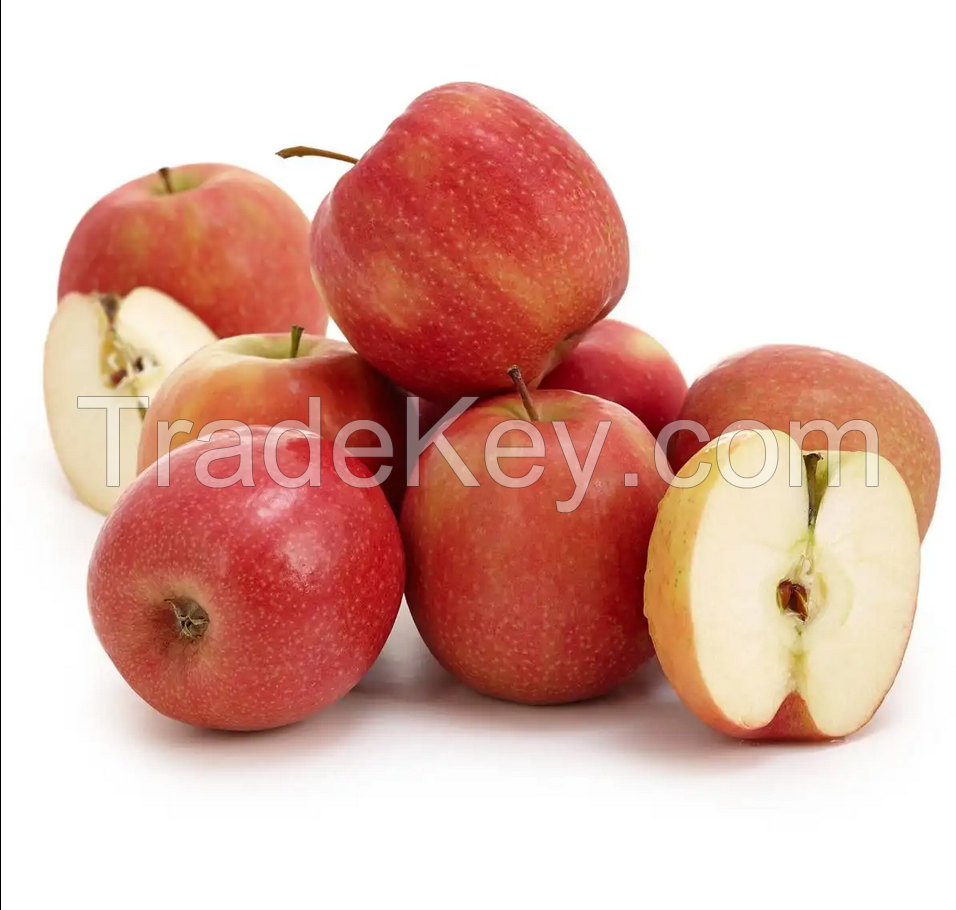 Fresh Red Fuji Apple | Cavendish Banana | Fresh Yellow Lemon | Fuji Apples | | Fresh Grapes | Fresh Oranges For Sale
