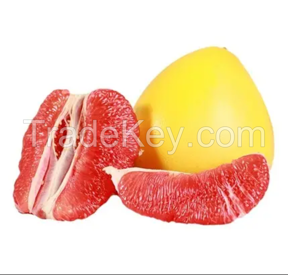 New Arrival Premium Quality Fresh Honey Pomelo China Best Price Pomelo Wholesale Grapefruit