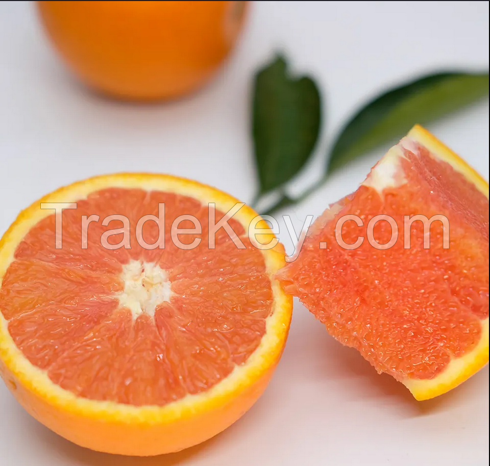 Navel Orange / Valencia Orange / Baladi Orange