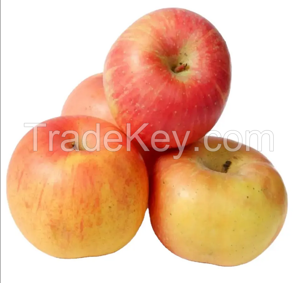 New Crop Fresh Red Apple Fruit Fresh Fuji Apple Factory Price Red Apple For Sale