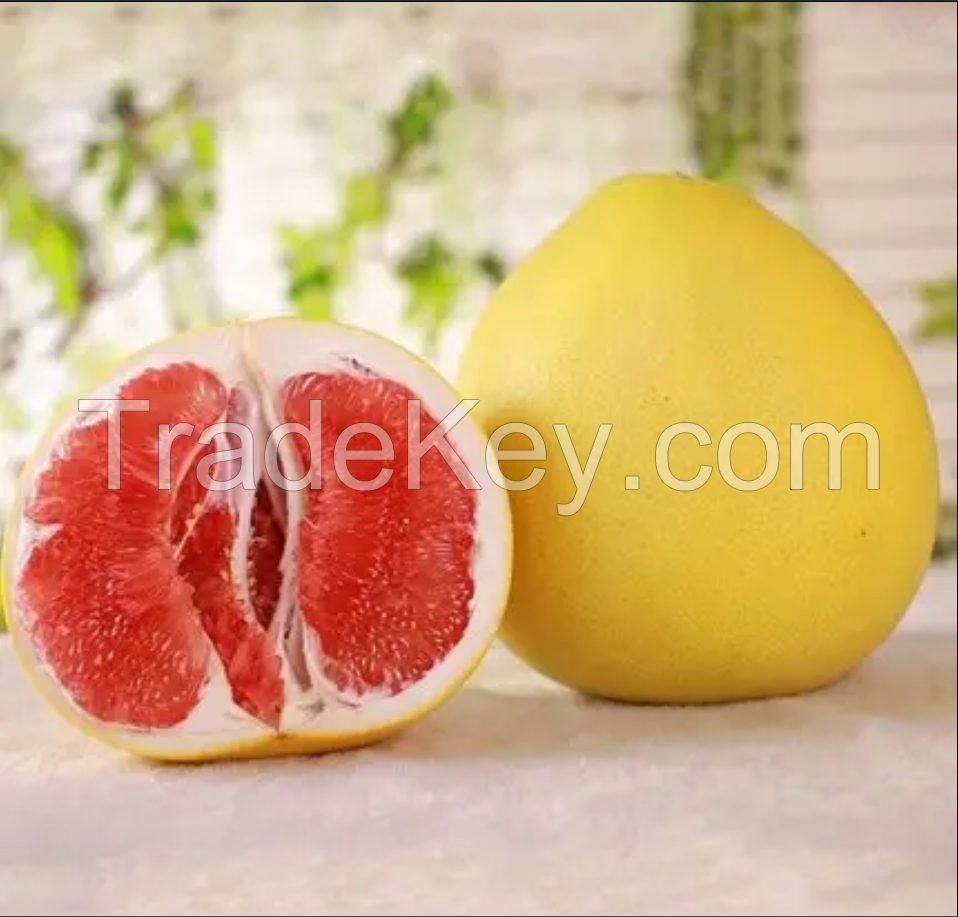 Pomelo Grapefruit from Viet Nam Farm/ Well Price Frozen Grapefruit