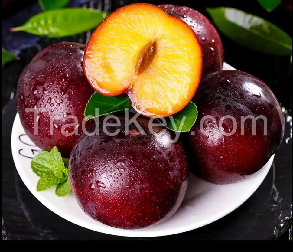 Fresh delicious and juicy fresh plum fruit origin china