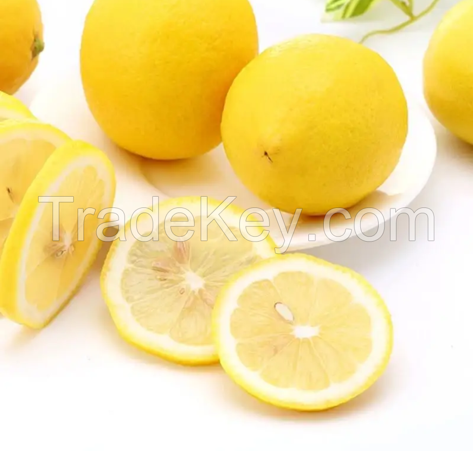 Ready to Ship Fresh Lemon Organic Fresh Fruit 100% Natural Wholesale Citrus Long Lasting Fresh Citrus Fruit Lemon