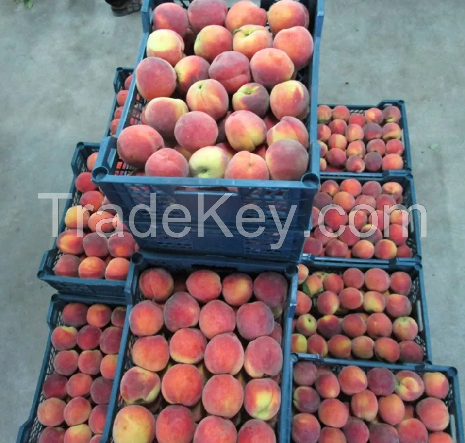 00% Natural Fresh Peach Best quality