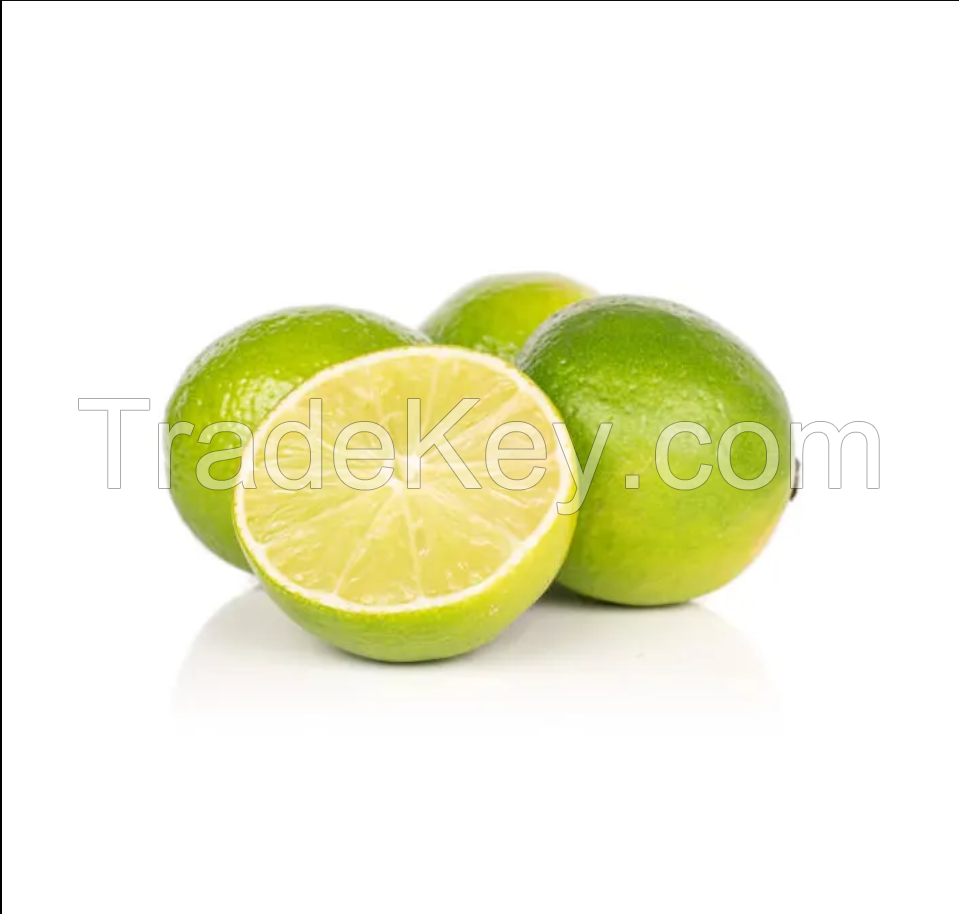 Fresh Green Lime Citrus Fruit- Fresh Lemon / LIME Seedless From UK