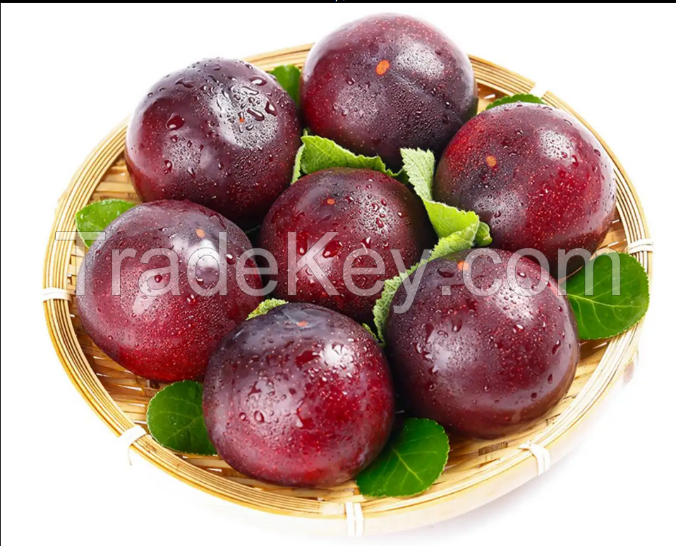 Organic Fresh Plums now available on sale. 30% Discount