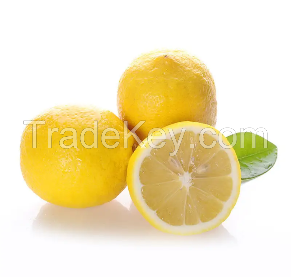 China Manufacturer New Crop yellow lemon Fresh Lemon for South Africa