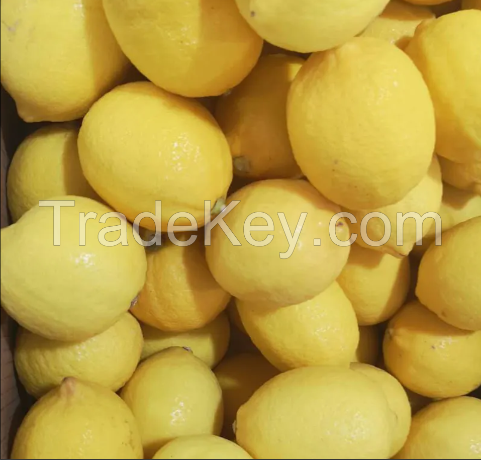 High Quality China Wholesale Fresh Yellow Lemons