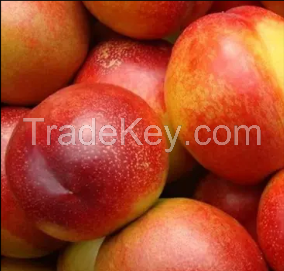 Peaches for sale 100% natural product of Uzbekistan fresh peaches