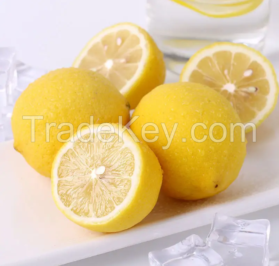 Ready to Ship Fresh Lemon Organic Fresh Fruit 100% Natural Wholesale Citrus Long Lasting Fresh Citrus Fruit Lemon