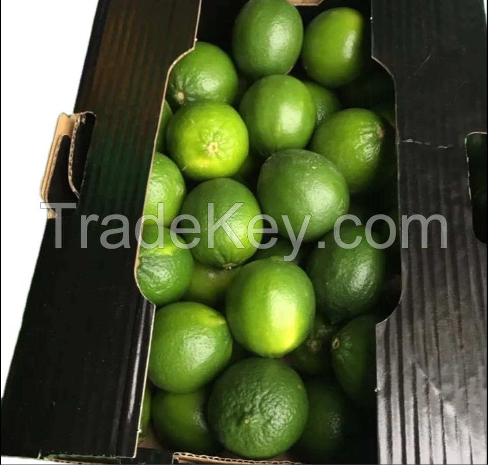 Fresh lemon/ fresh lime/ green citrus