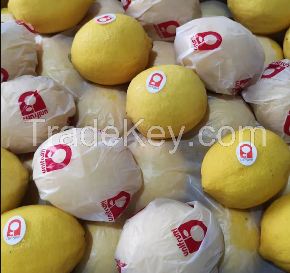 Vietnamese Seller In 2023!! FRESH SEEDLESS LIME - The Best Option For A High-Quality Standard Export and Best price