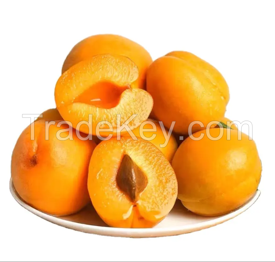 Italian Fresh Apricots, 50-55 size, 5Kg Celebrity Fruit loose box, Yellow or Red skin