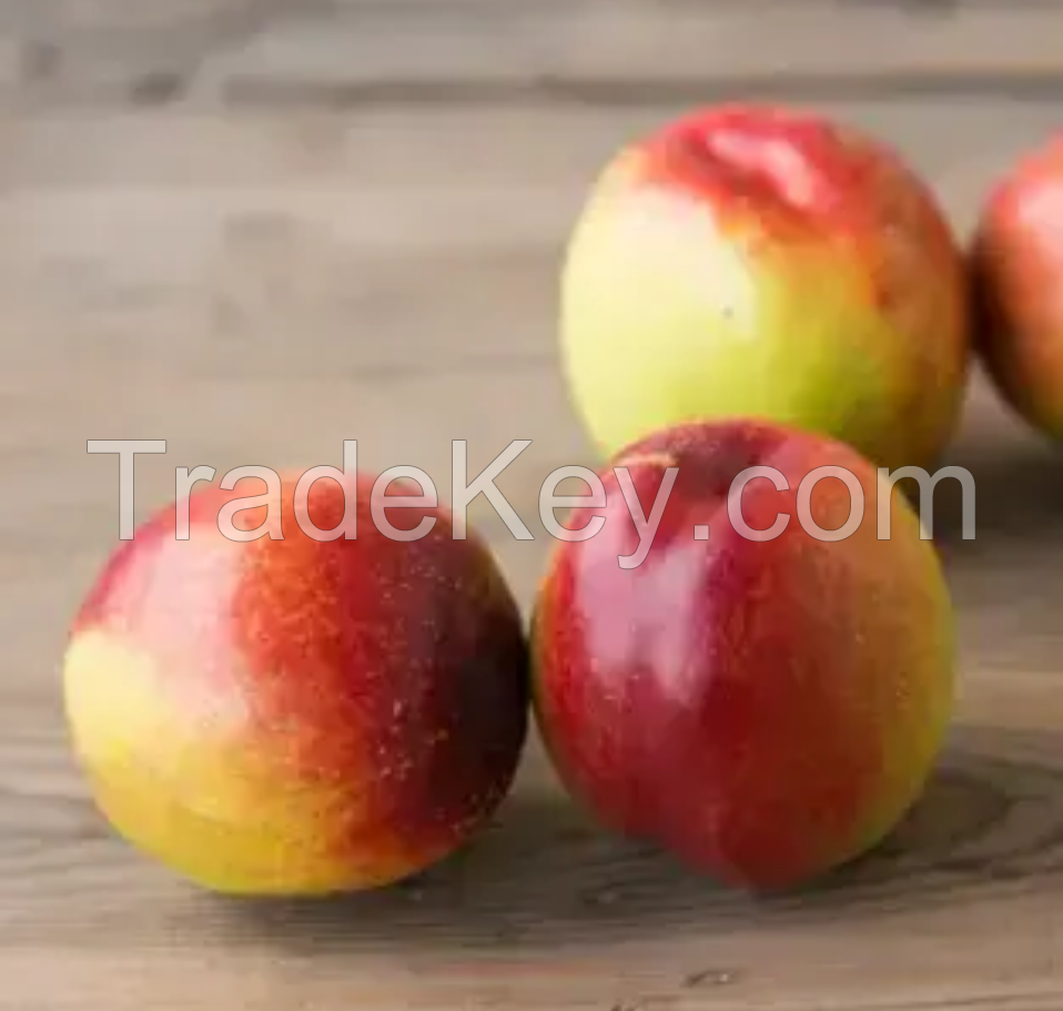 Fresh Peaches & nectarines for Europe markets. 