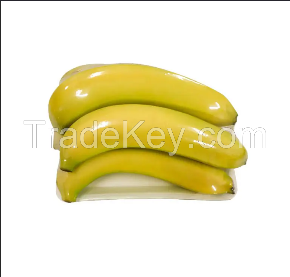 Wholesale cavendish banana green banana fresh cavendish banana
