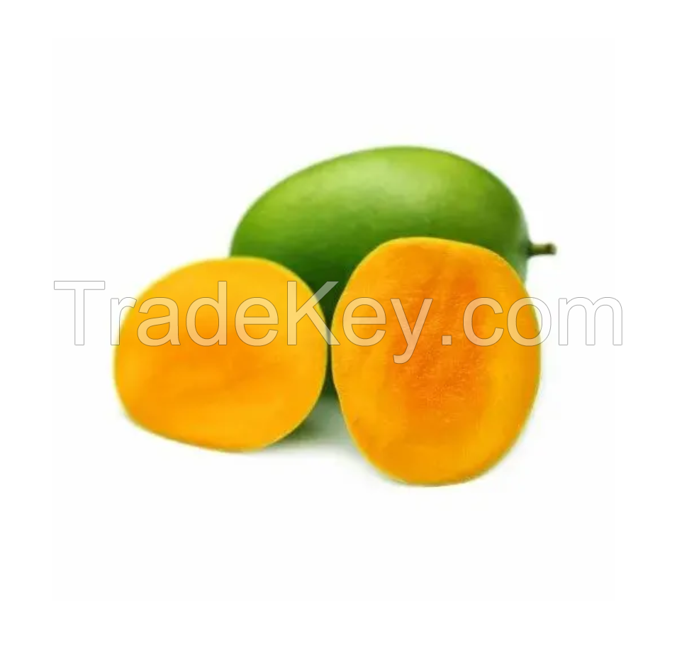 Fresh Mango Fruit Ready To Export Chaunsa / Sindhri Mangoes from Thailand