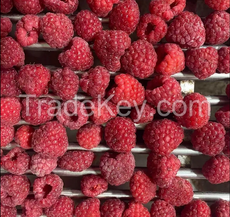 100% natural berries IQF raspberry whole