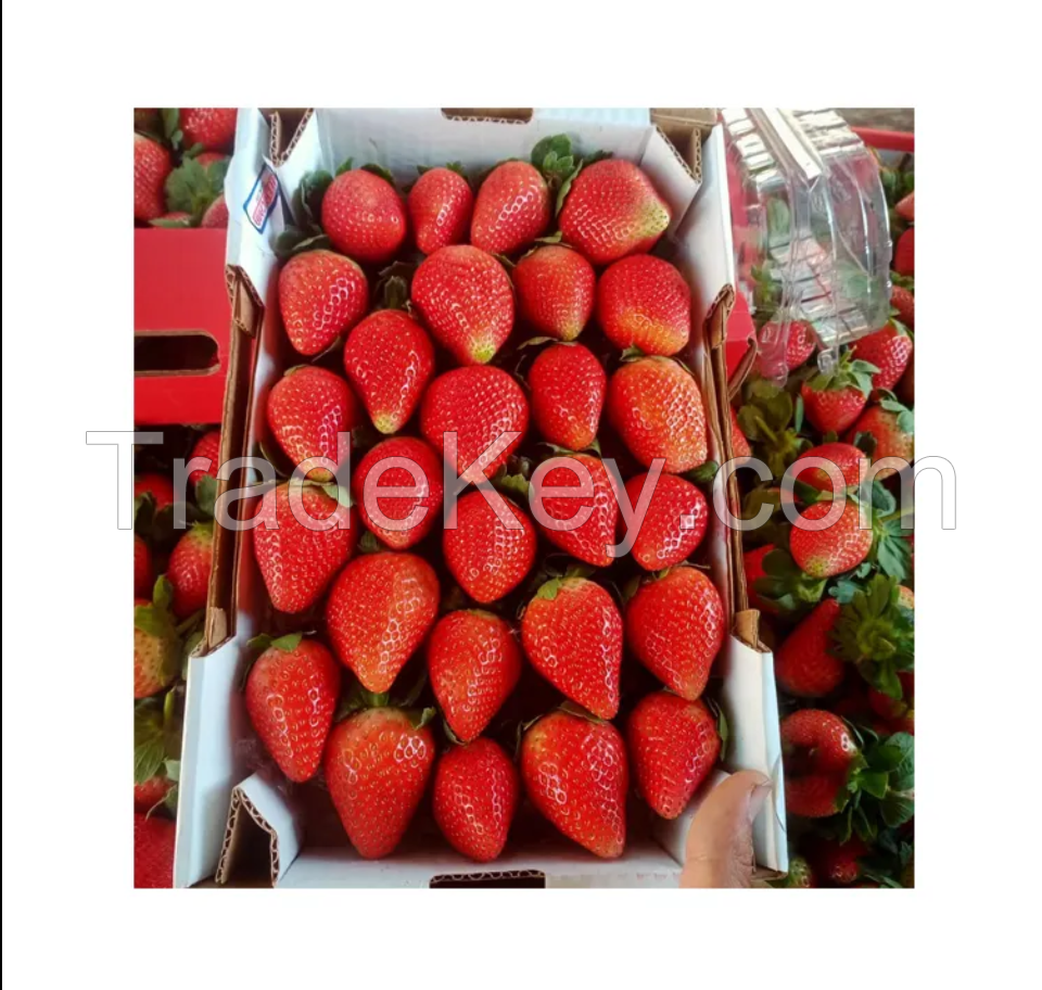 New Fresh Organic Sweet Healthy Iqf Frozen Fruits Strawberry For Sale