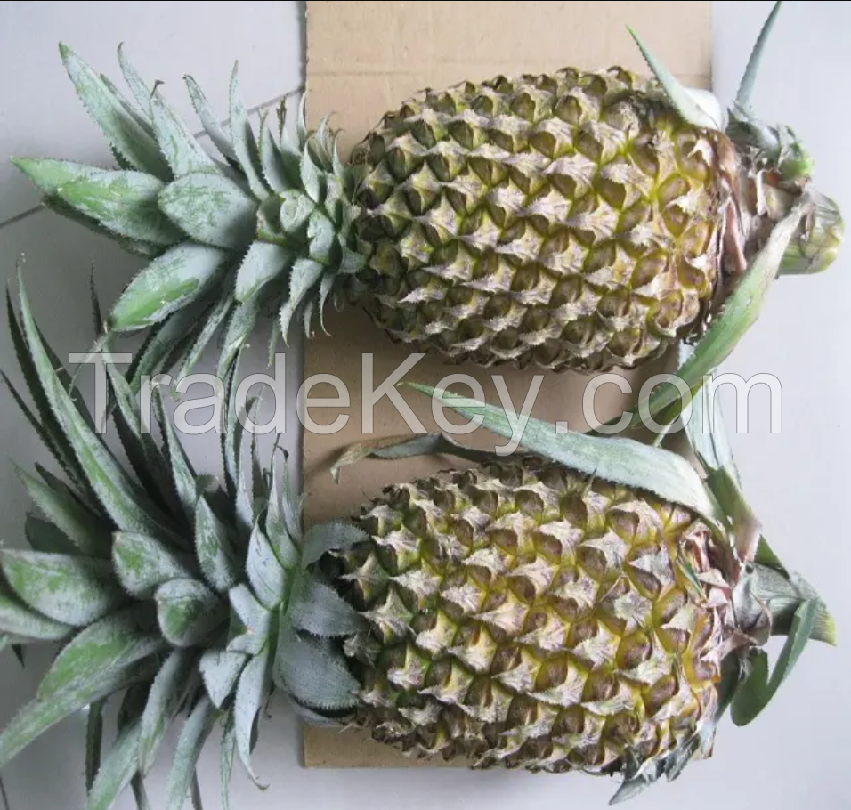 Fresh Pineapples