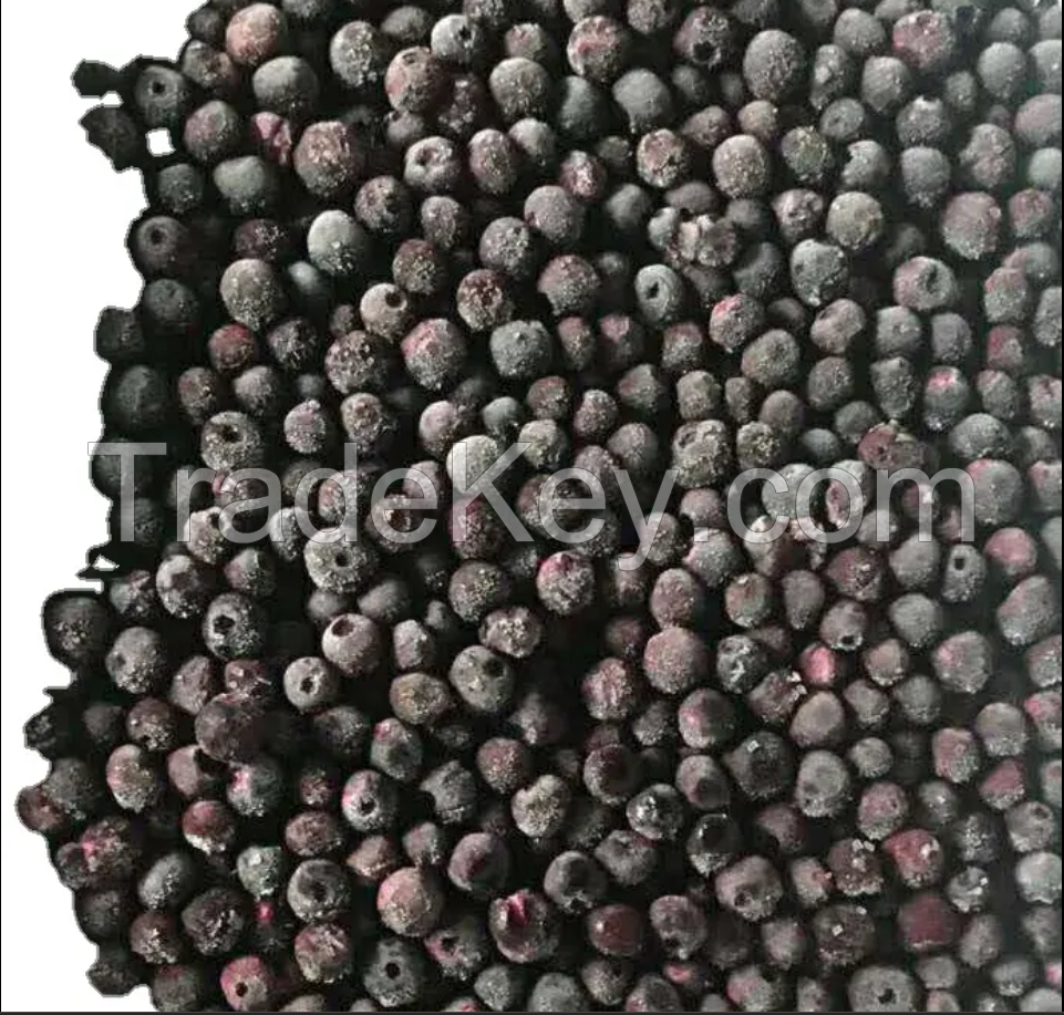 Best quality new crop Blueberry Frozen Blueberry IQF Blueberry