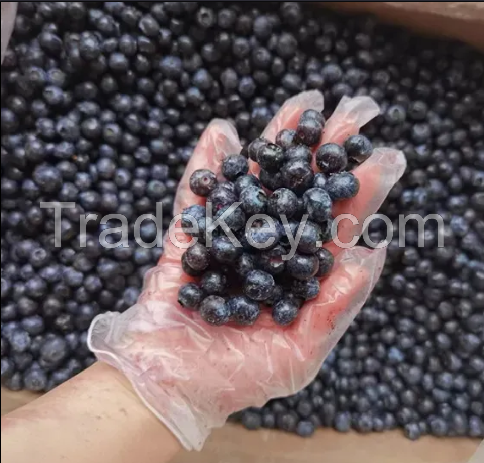 Wholesale frozen fruit IQF frozen blueberry in frozen fruits for beverage