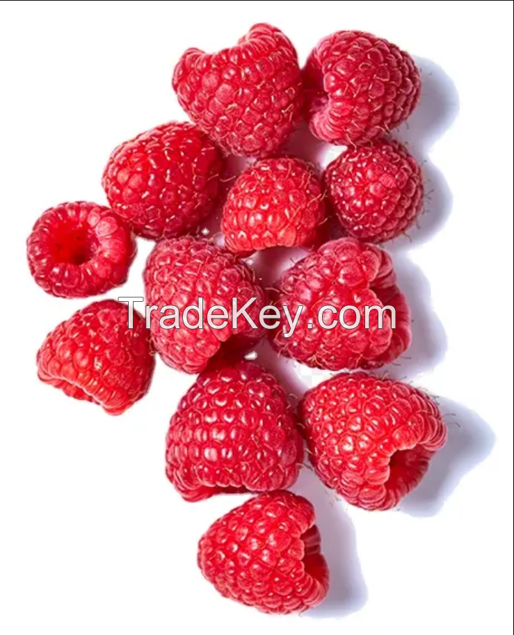 IQF raspberry whole 90/80/70 best quality frozen raspberry whole iqf fruits