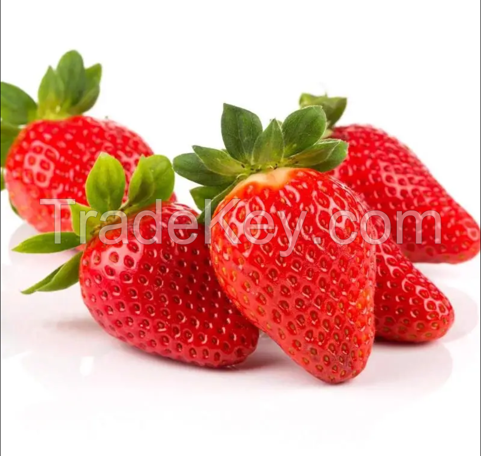 Wholesale Supplier of Export Quality Fresh Fruit Strawberries