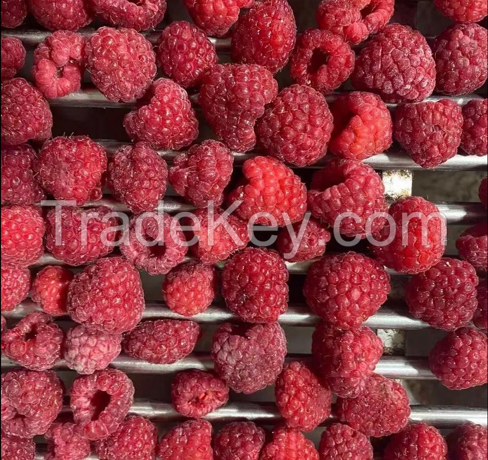Premium Quality Snack Strawberry Newest Dried Sweet Strawberry For Sale