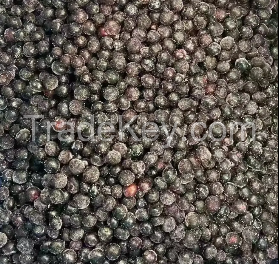 Blueberry Frozen IQF Fruits in various size