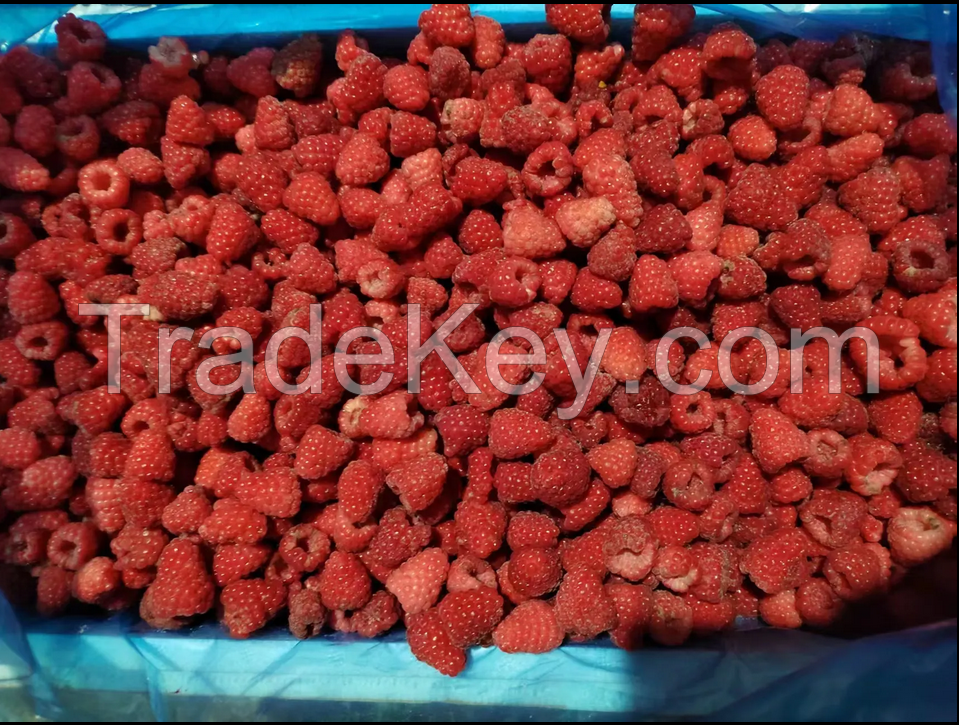 IQF raspberry whole 90/80/70 best quality frozen raspberry whole iqf fruits