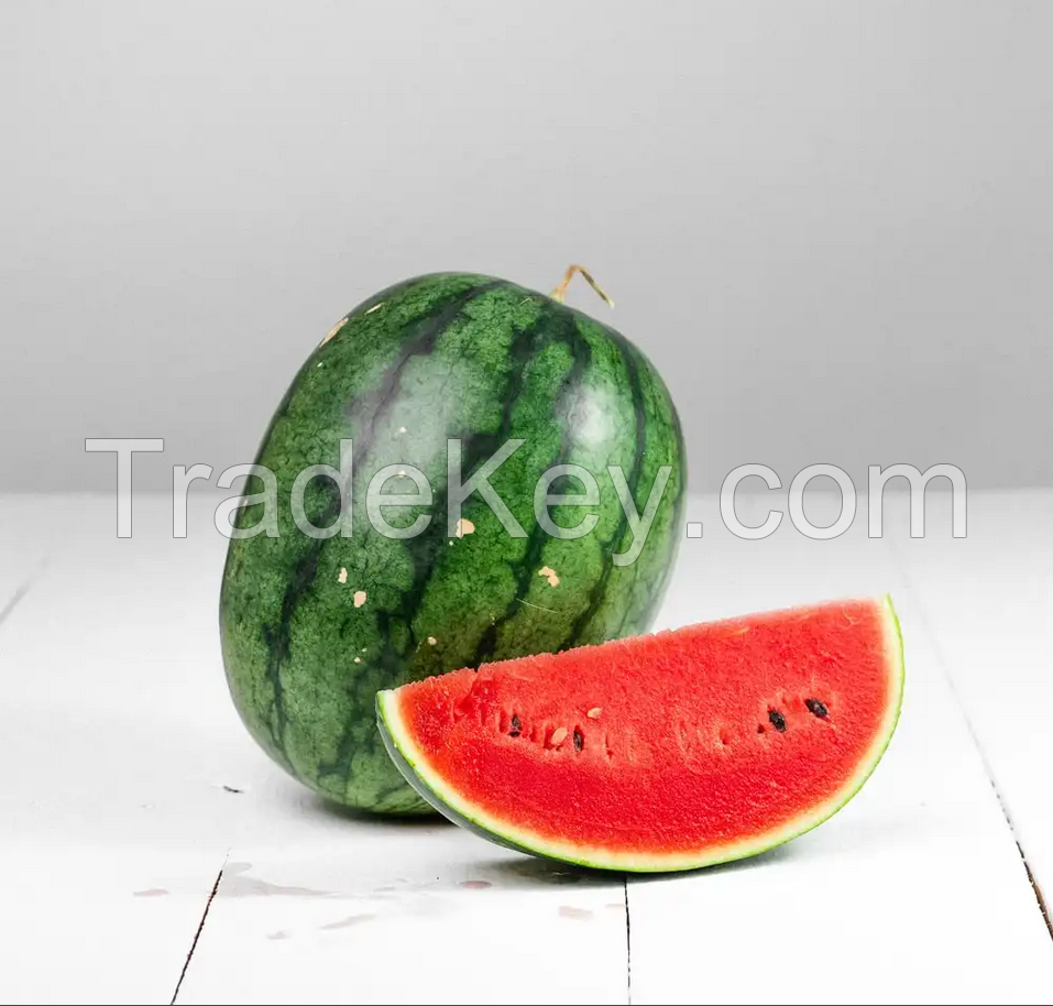 LOW PRICE HIGH QUALITY FRESH GREEN WATERMELON FOR SALE