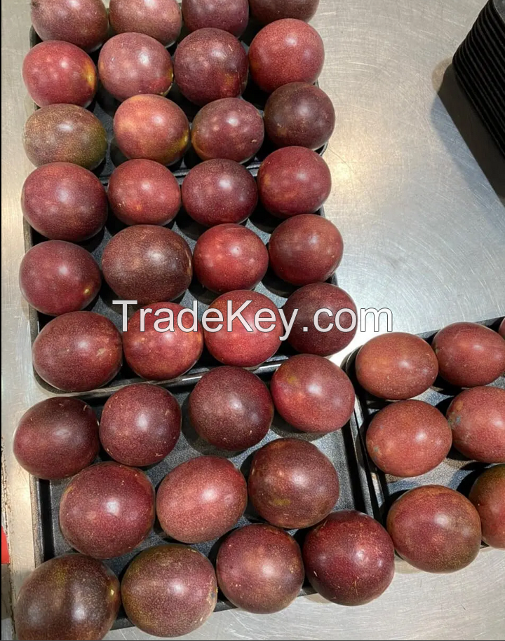 Special Fresh Passion Fruit top quality FRESH passion fruit best price from Vietnam 