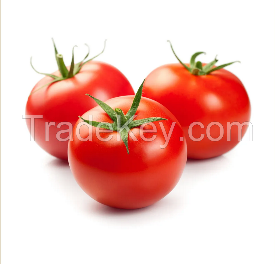 Wholesale Natural Vegetables Fresh Natural Cooked Tomatoes Hot Selling Top Fresh Cherry 100 % Organic Matured Quality Tomato