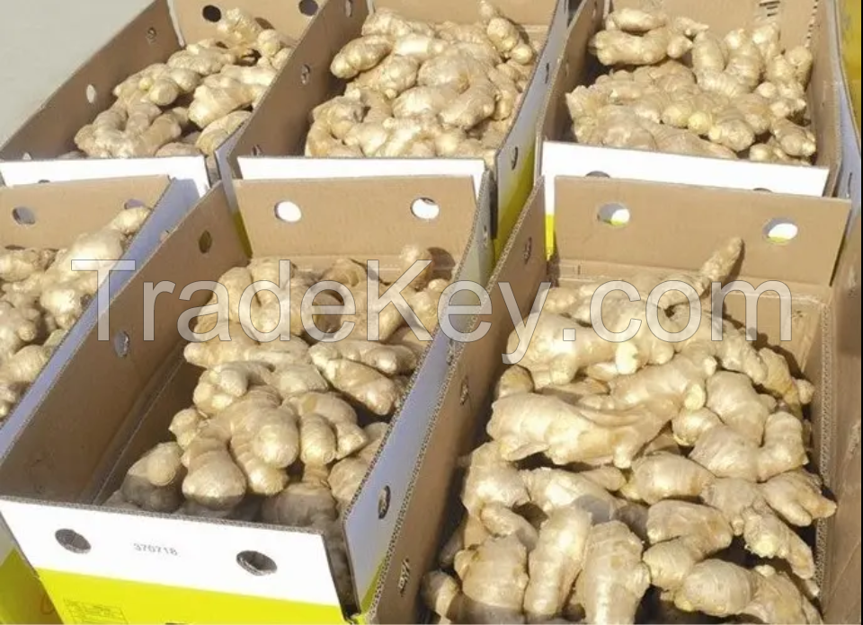 Market Price Per Ton Wholesale High Quality Dried Ginger Ginger For Export In China Ginger