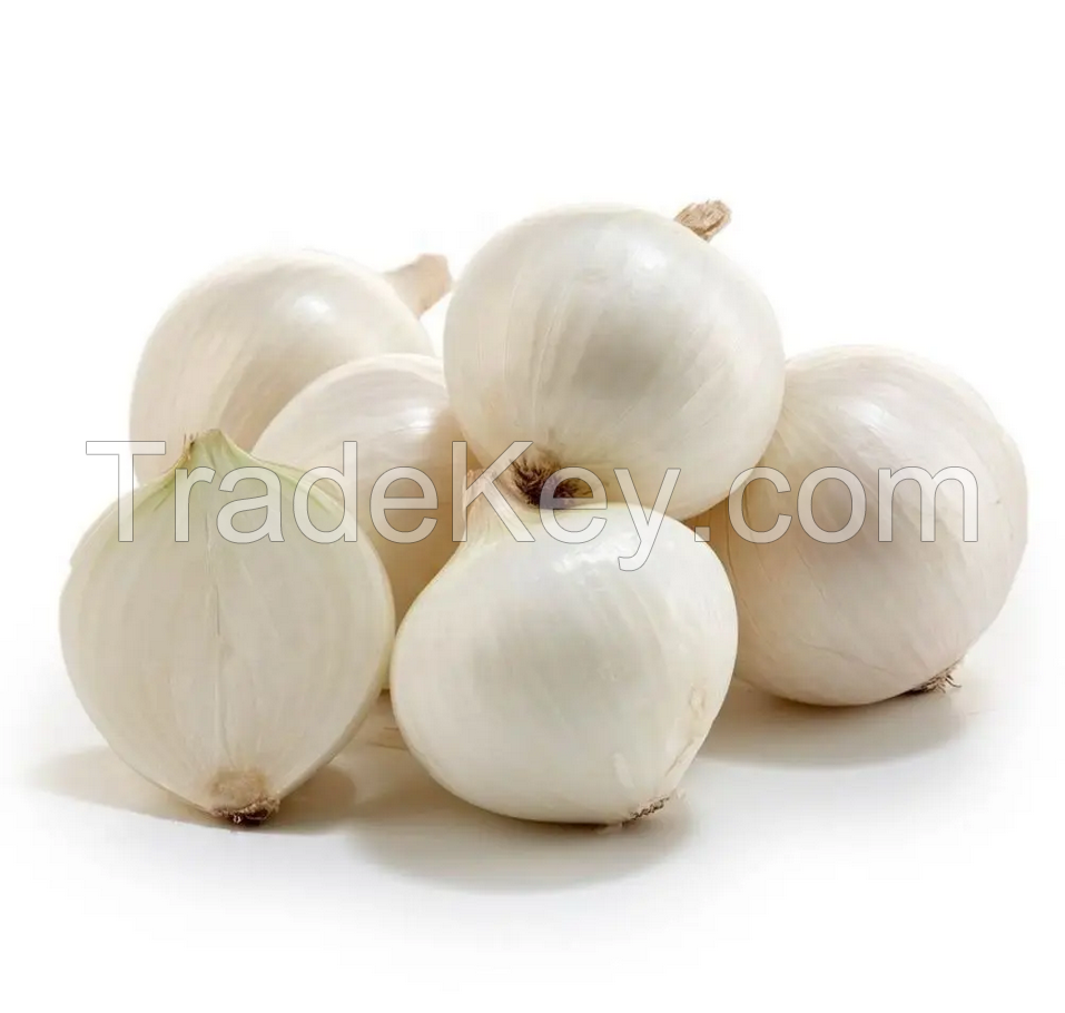 Fresh Onion Peeled Onion Premium Quality Onion Wholesale with Good Price