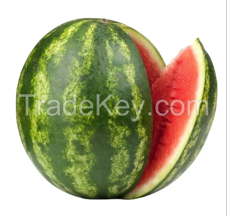 Fresh Seedless Watermelon Premium Grade Fresh Water Melon Fruits from Vietnam